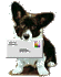 Emailpuppy.gif (3144 bytes)