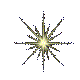 X_star.gif (5303 bytes)